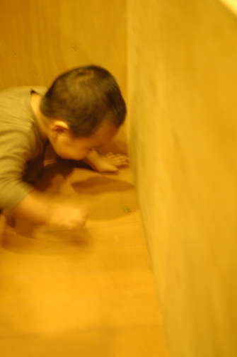 d0129922_9472333.jpg