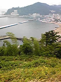 d0035823_16482836.jpg