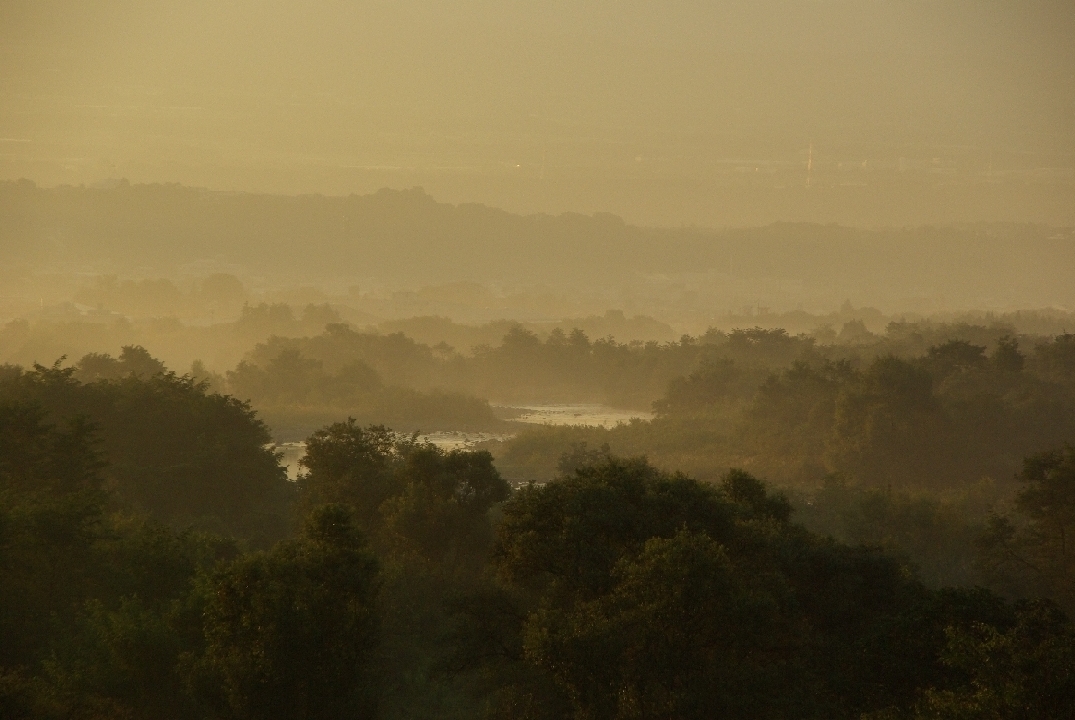 b0062024_21125599.jpg