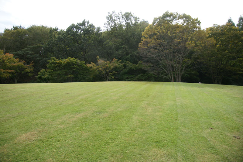 d0089024_195016100.jpg
