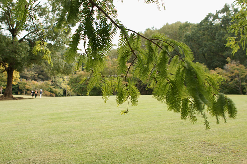 d0089024_19515394.jpg