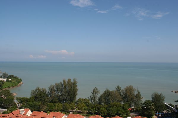 d0116625_11152130.jpg