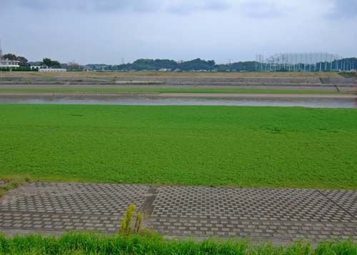 f0147025_2220357.jpg