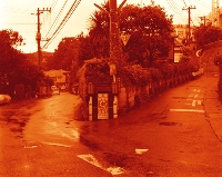 b0035326_14161087.jpg