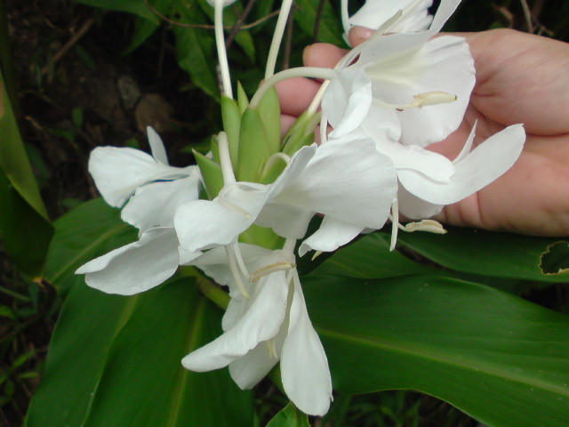 e0016828_11141345.jpg