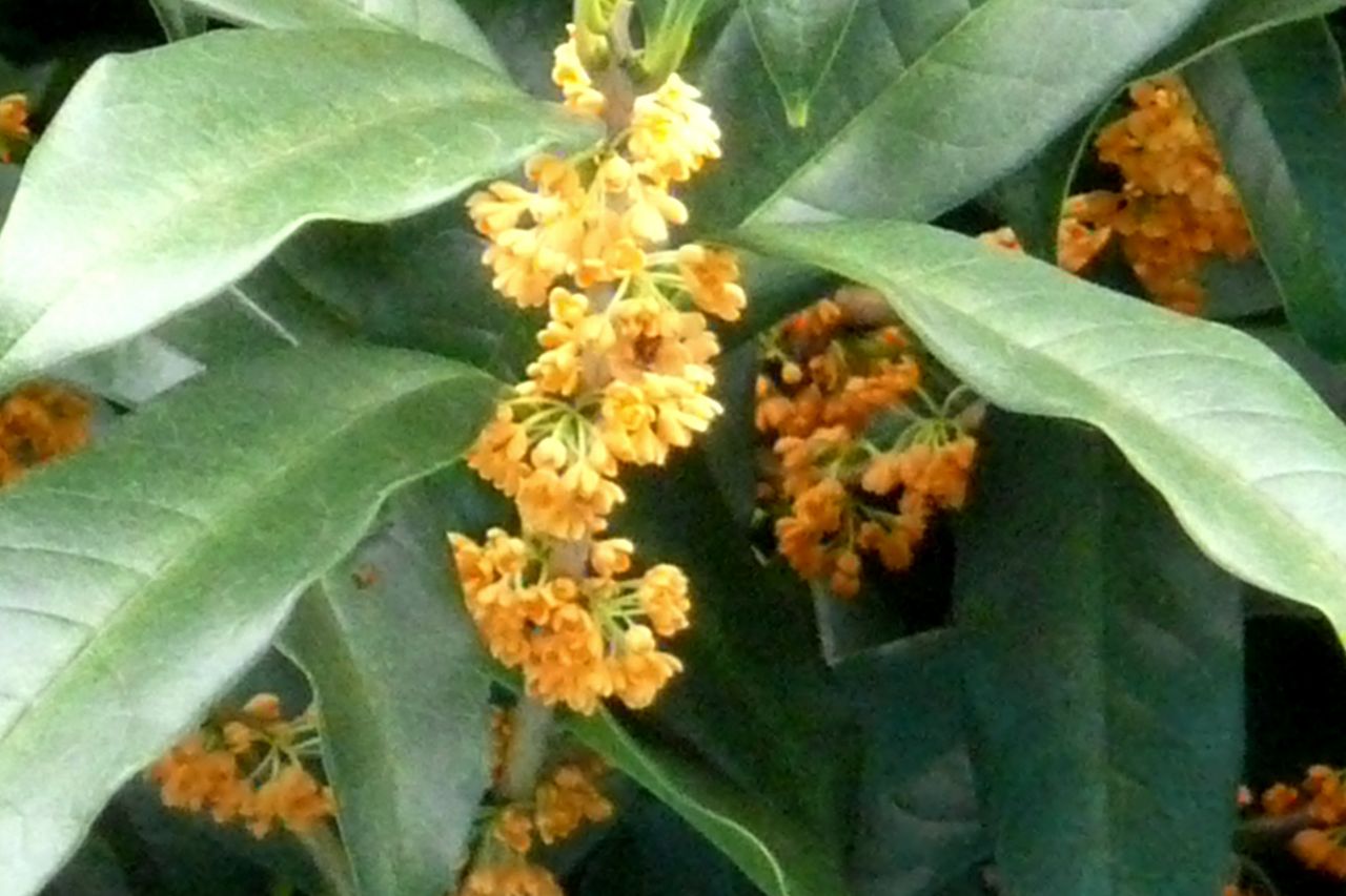 e0033229_1825042.jpg