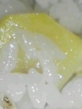 f0100831_2024936.jpg