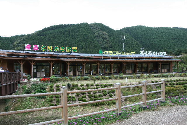e0064133_1354387.jpg