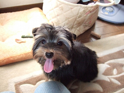 f0008935_11224242.jpg