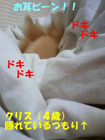 c0179136_22483983.jpg