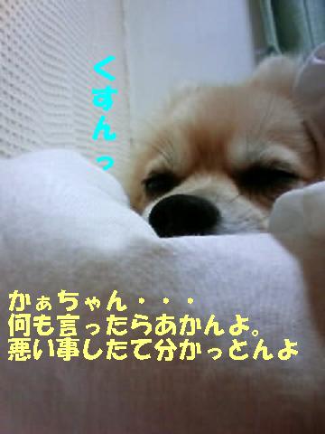 c0179136_22491815.jpg
