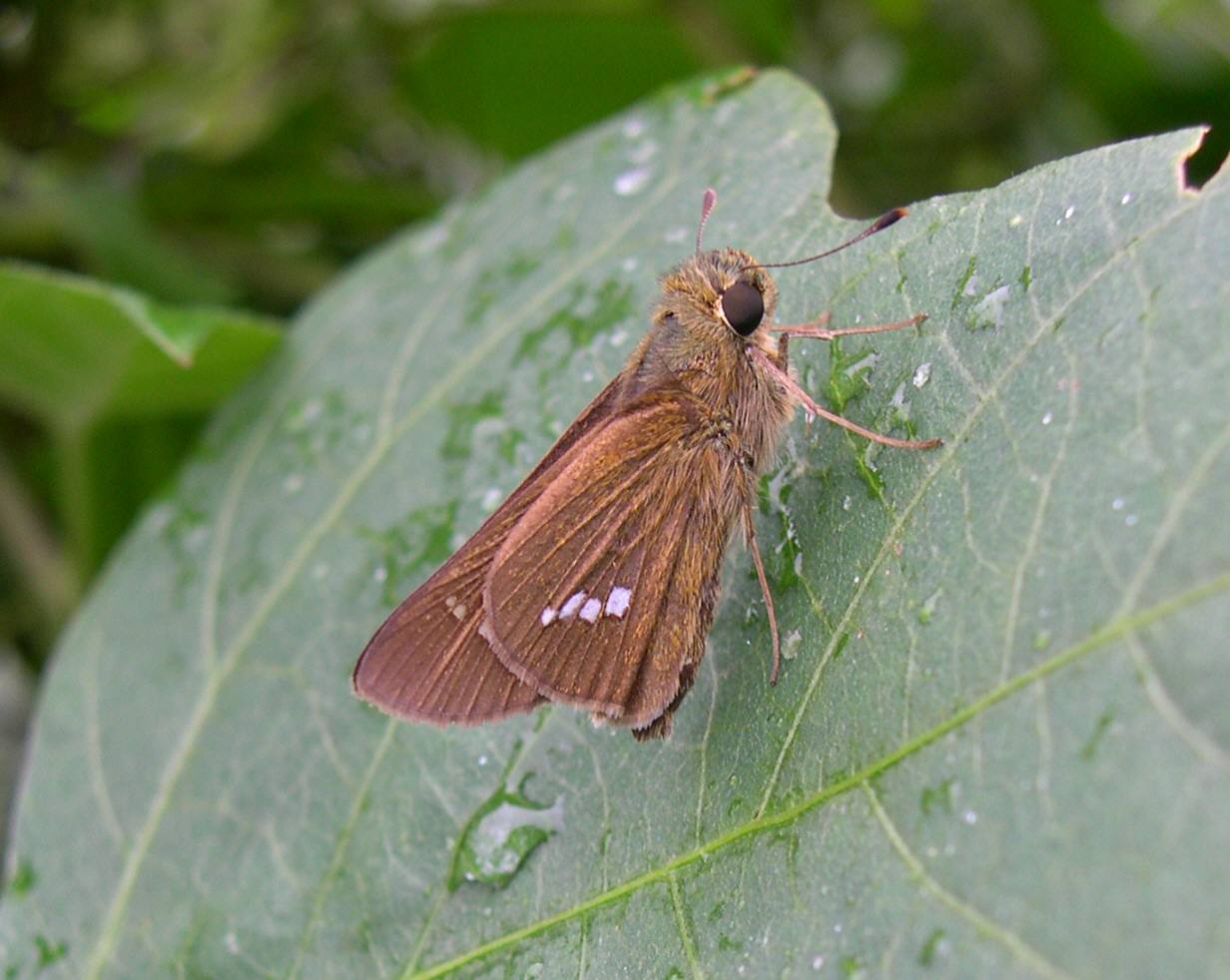 f0164137_055060.jpg