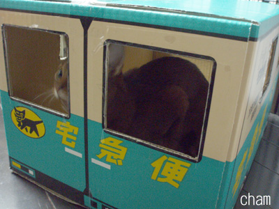 c0132438_2204020.jpg