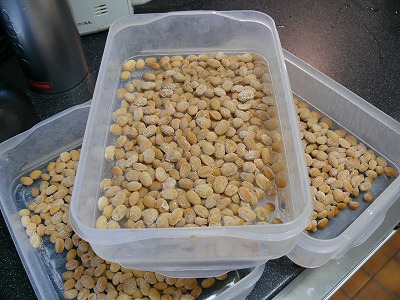 c0153740_5207.jpg