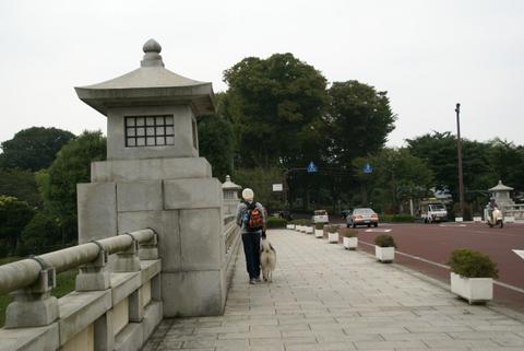 e0143442_18563947.jpg