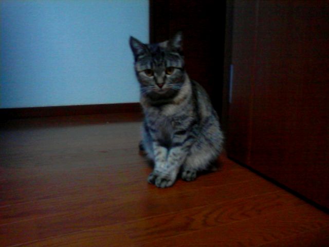 f0032042_17164039.jpg
