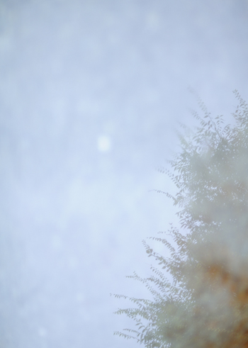 b0143543_722596.jpg