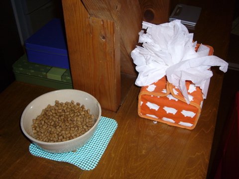 e0058443_0421029.jpg