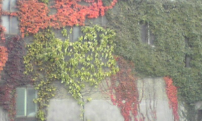 a0028444_1453529.jpg
