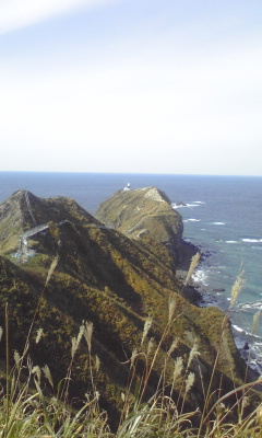 a0028444_145880.jpg