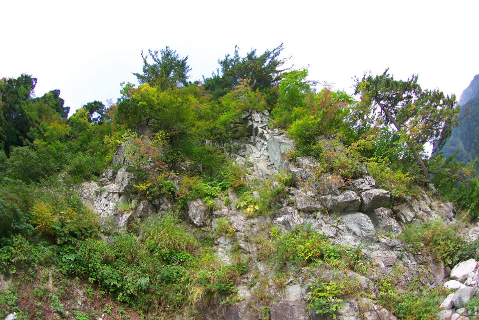 d0098645_19212731.jpg