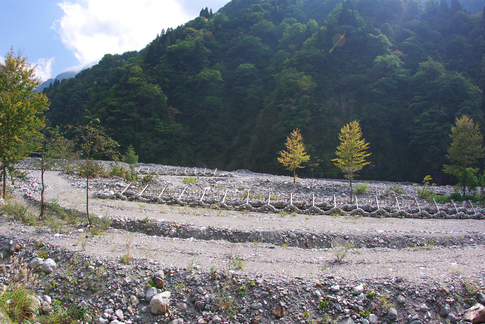 d0098645_19214818.jpg