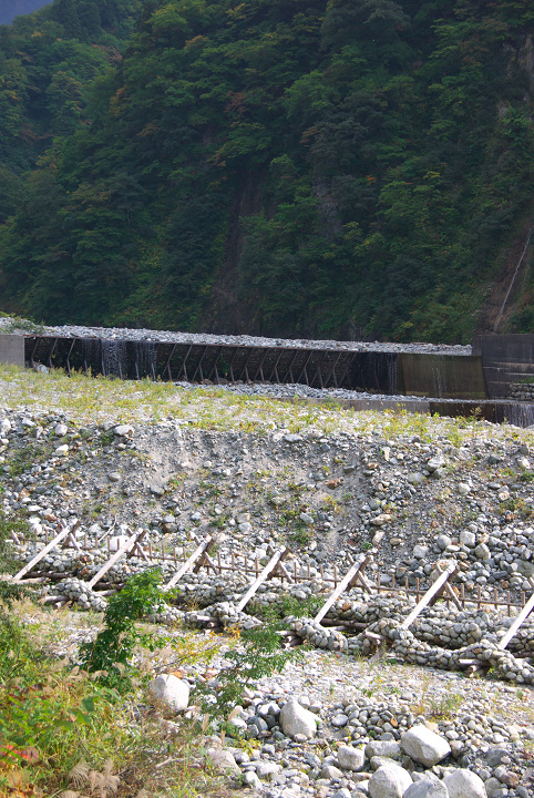 d0098645_19221450.jpg