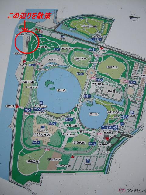 e0098547_4563452.jpg