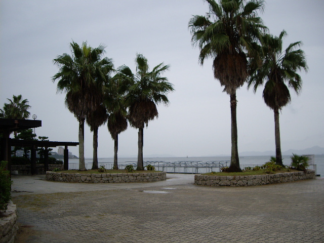 e0098547_4571989.jpg