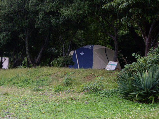 e0098547_514939.jpg