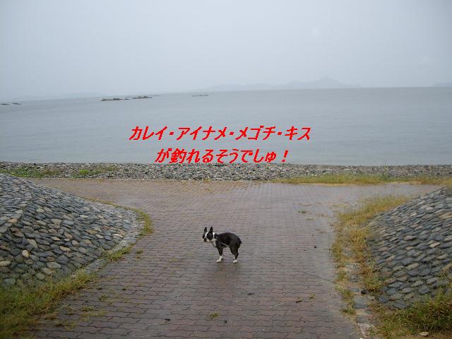 e0098547_571695.jpg
