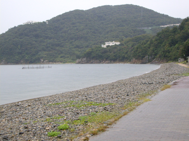 e0098547_575543.jpg