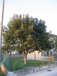 a0091348_412045.jpg