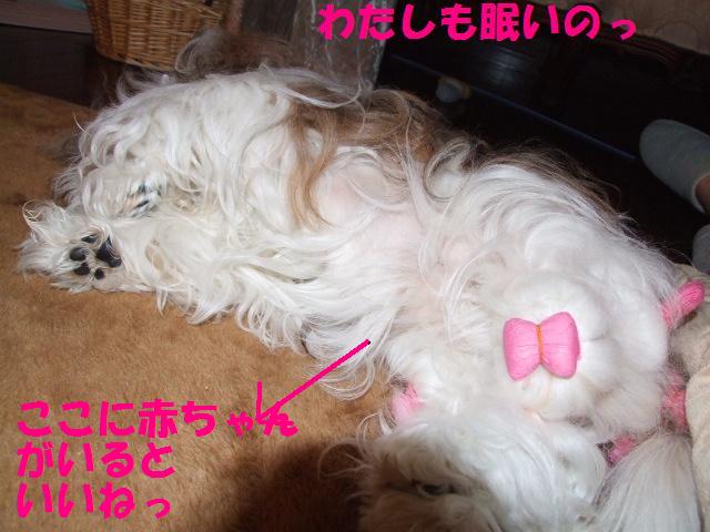 a0091448_22472962.jpg