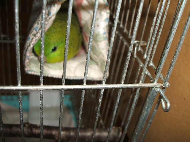 f0172650_2317860.jpg