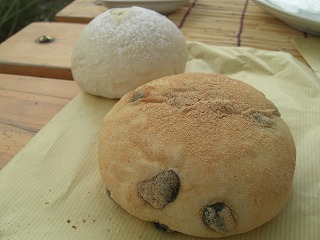 f0009451_21434749.jpg
