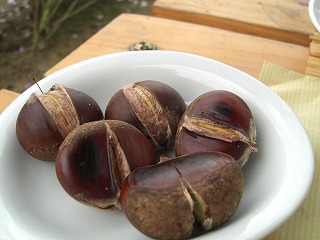 f0009451_21463666.jpg