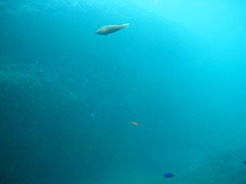 e0124154_2343796.jpg