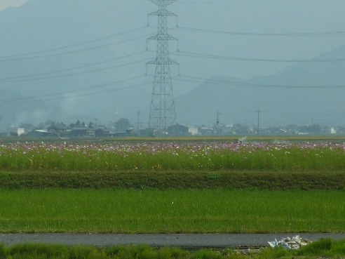 a0063364_23512558.jpg