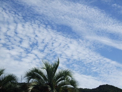 d0081464_2371357.jpg