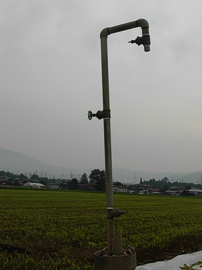 d0048366_1011327.jpg
