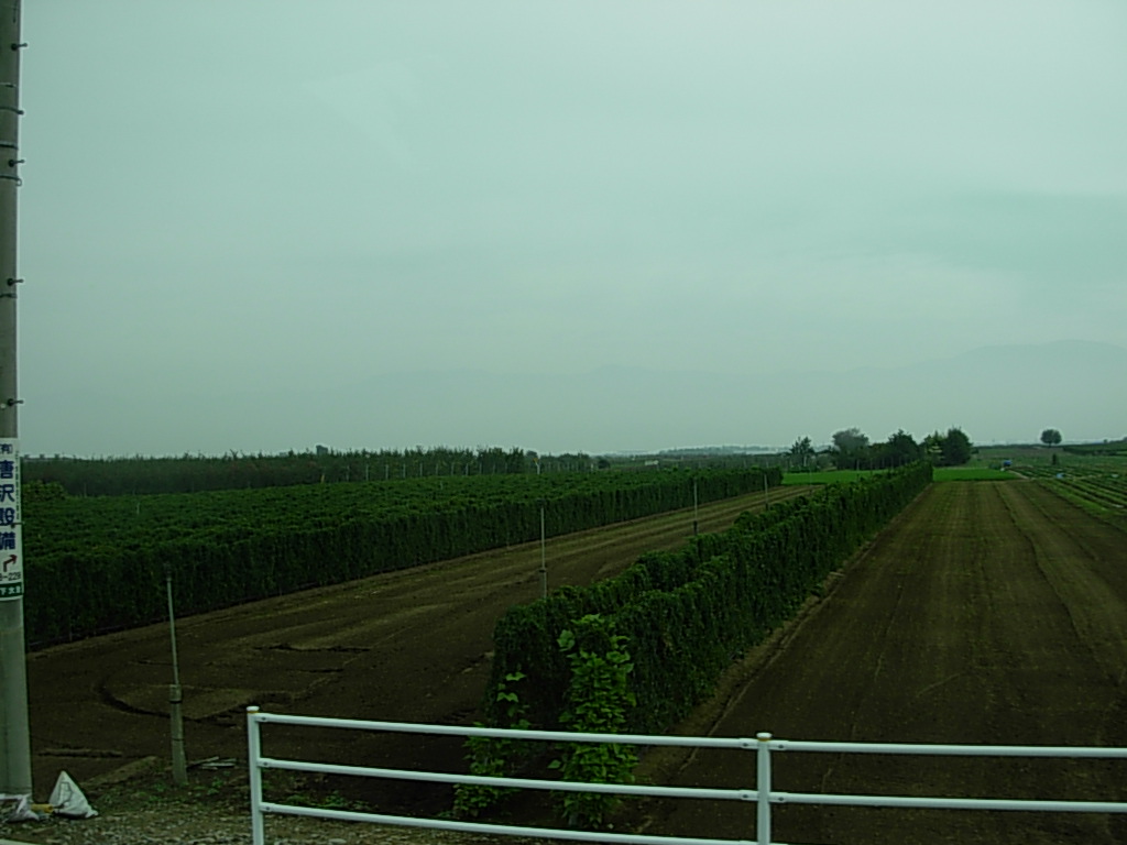 d0048366_10164236.jpg