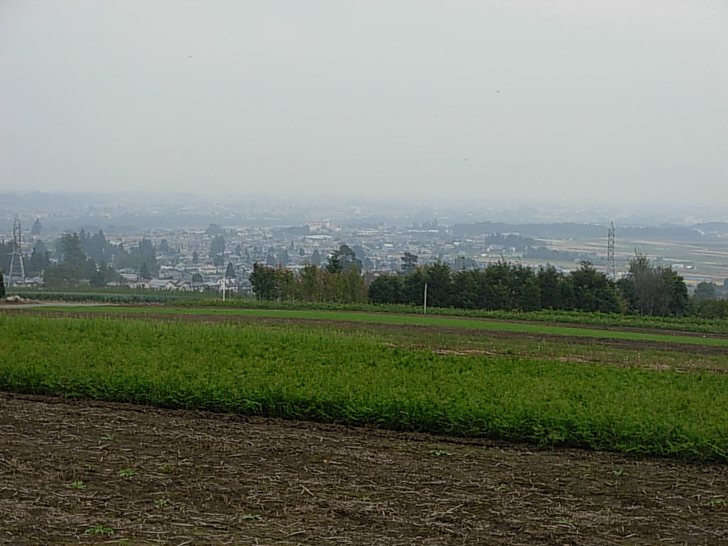 d0048366_1025882.jpg