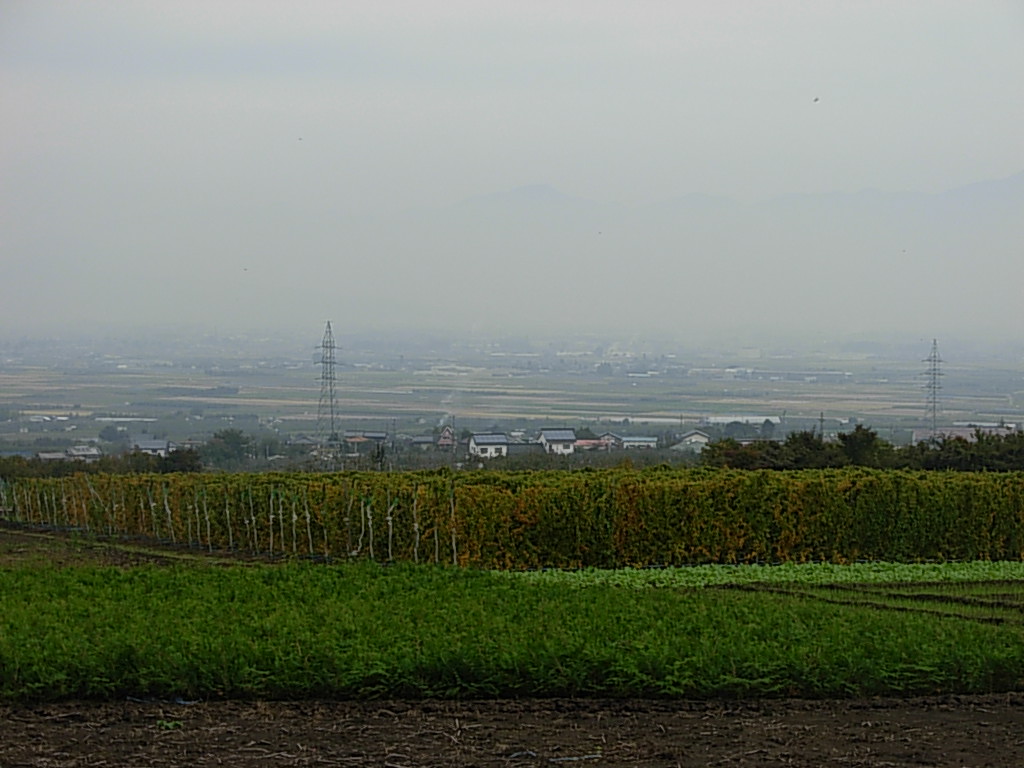 d0048366_10261099.jpg