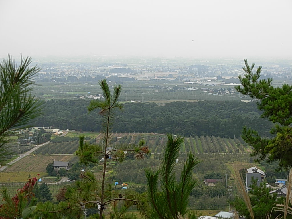 d0048366_10363853.jpg