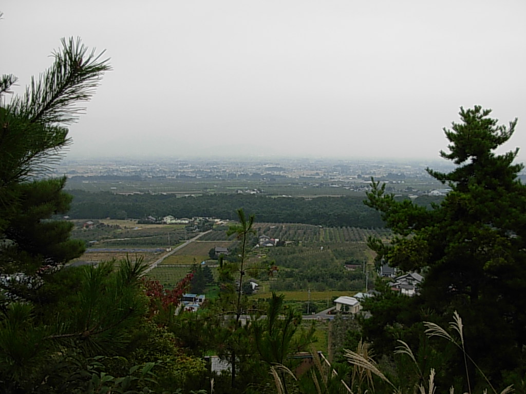 d0048366_1036653.jpg