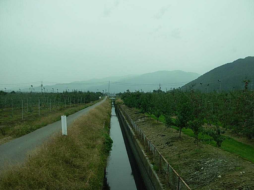 d0048366_10384966.jpg