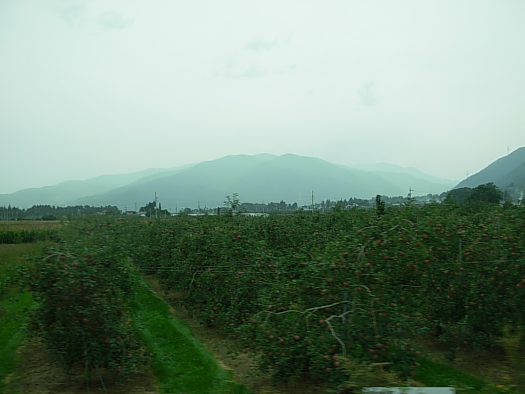 d0048366_10392154.jpg