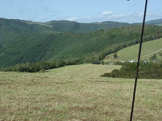 f0127866_9251724.jpg