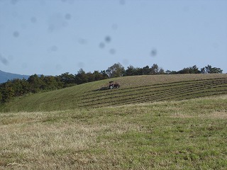 f0127866_932557.jpg